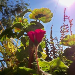 Meet your Posher, Clemencia